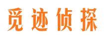 缙云市调查公司